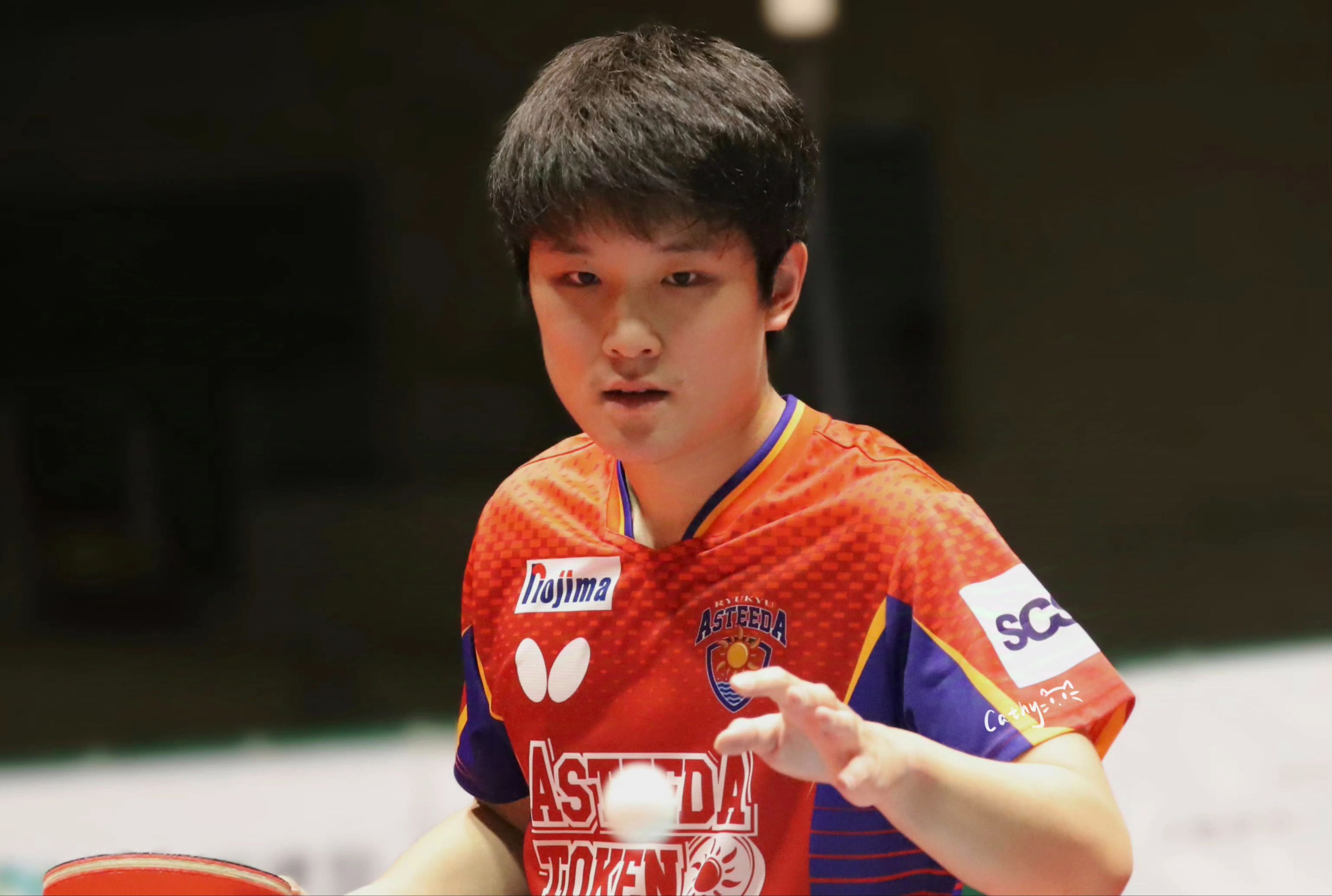 英格兰队翻盘葡萄牙队，张本智和高光表现