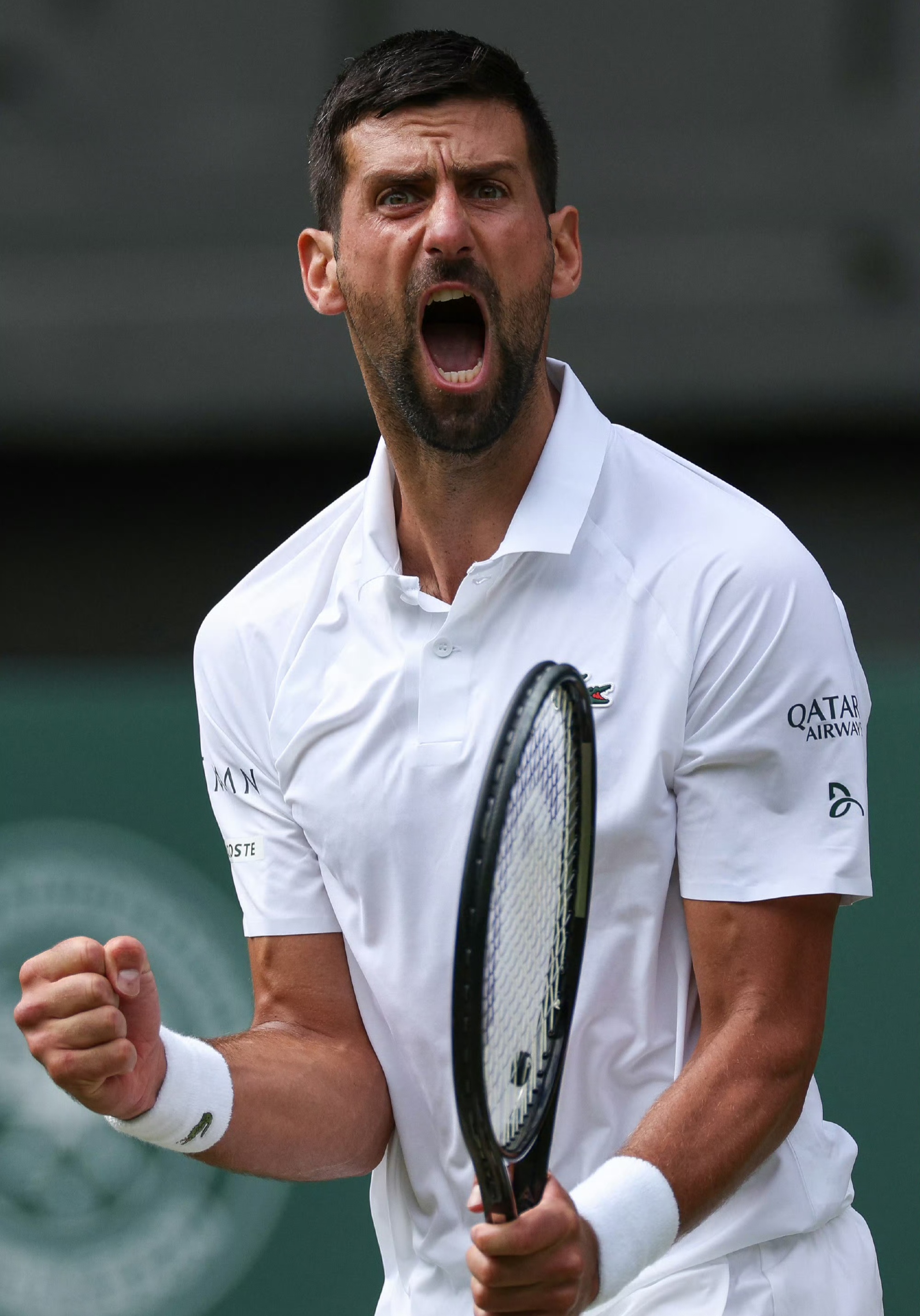 温网横扫联合杯，德约科维奇带队取胜