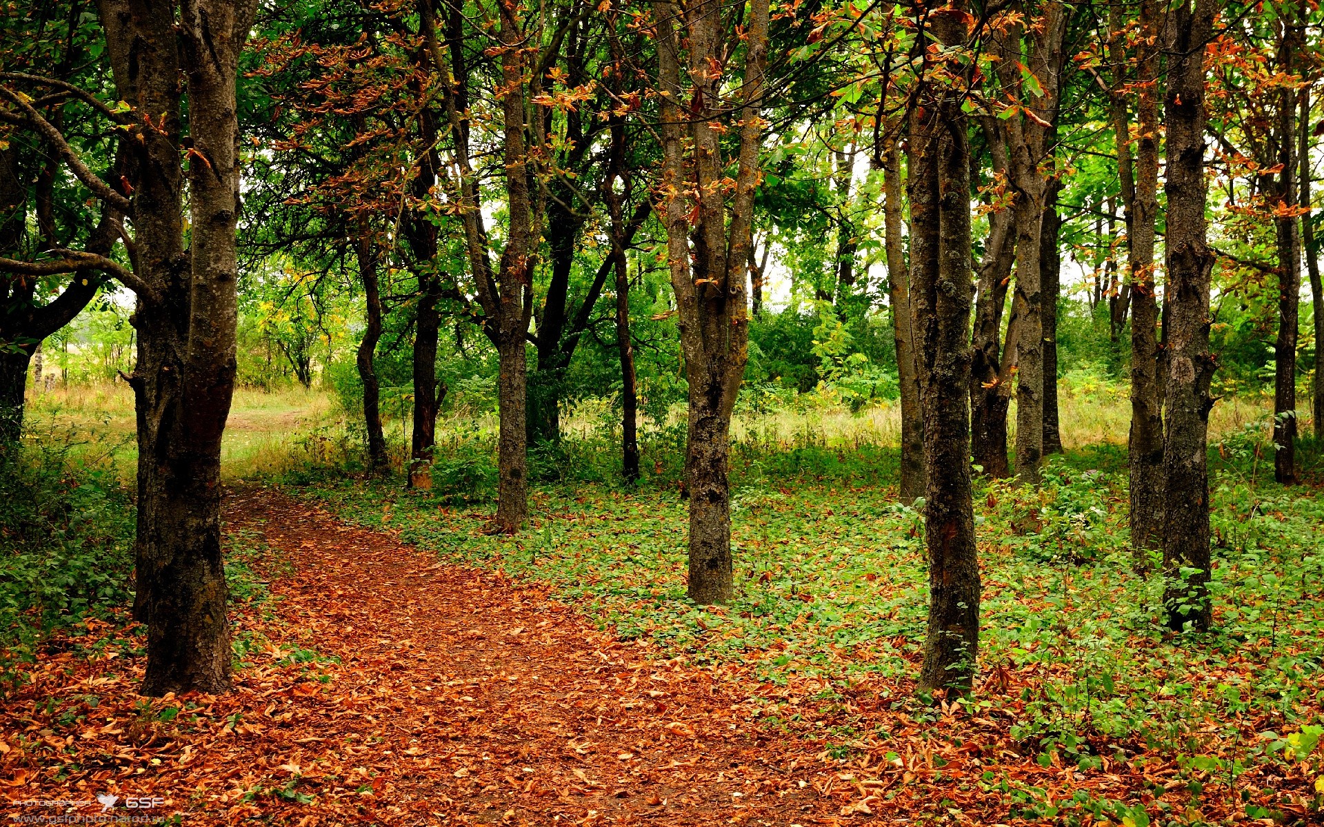 意甲焦点战启示录，从爱尔兰生死战取胜威尔士看足球的唯一性魅力