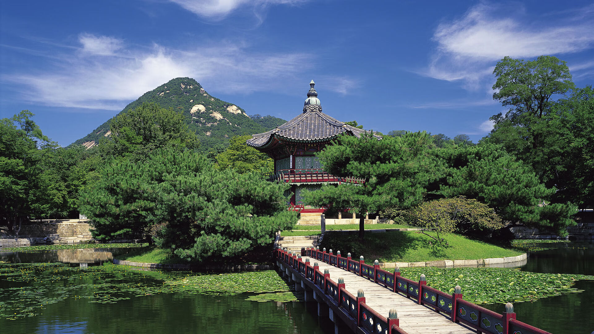 赛道上的命运逆转，奥地利翻盘巴西的F1街道赛焦点战