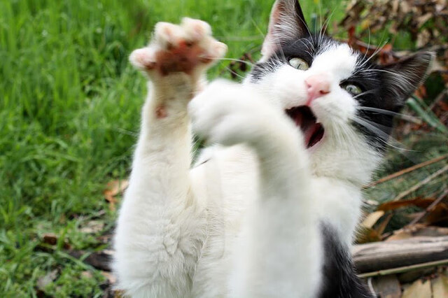 北欧风暴撕裂红龙防线,阿圭罗临危救主,诠释关键先生真谛