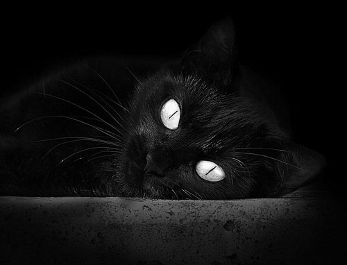 魔术对阵太阳,贝恩压力下完成爆发,逆境中绽放的篮球艺术