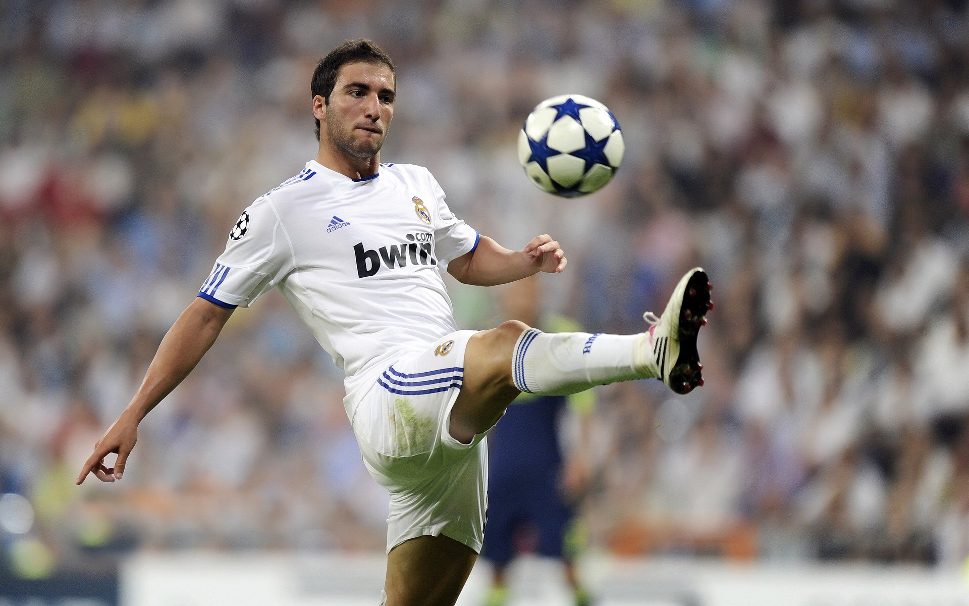 双城记,雄鹿铁蹄踏破华南虎,切特神兵天降定西决